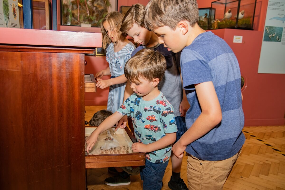 Winner small image - Haslemere Educational Museum